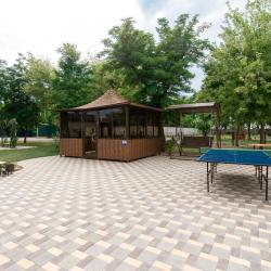 Фото Отель Лесная нимфа