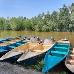 Фото Отель Остров Колочный