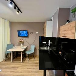 1-комнатные апартаменты студия №3