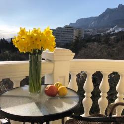 1-комнатные апартаменты с балконом и кухней