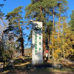 Фото Отель Сосновый бор