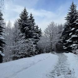 Фото Отель Woodland (Вудлэнд)