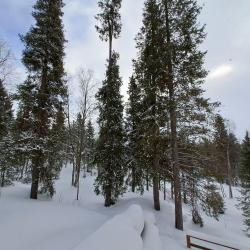 3-комнатные апартаменты улучшенные