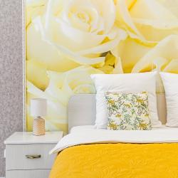 Фото Отель Prima Rent на улице Генкиной 25А