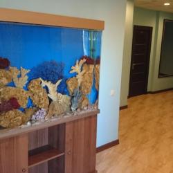 Фото Отель Парус