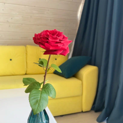 Фото Отель Сказка у царя Салтана