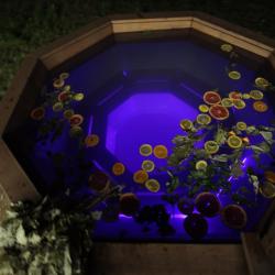 Фото Отель ДухЛес