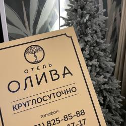 Фото Отель Олива