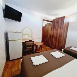 3-местный номер стандарт (мансарда)