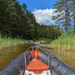 Фото Дизайн-отель Seliger Club (Селигер Клуб)