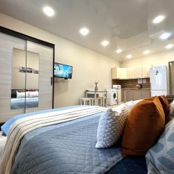 1-комнатные апартаменты студия Смолина 67/1-95 (студия)