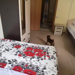 Фото Отель Лев