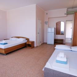 Номер комфорт семейный с 1 двуспальной кроватью