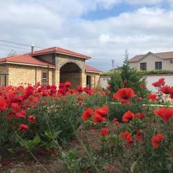 Фото Отель Маалле