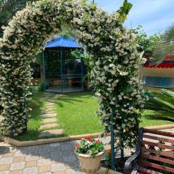 Фото Отель Орион