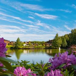 Фото Отель ArtiLand (АртиЛэнд)
