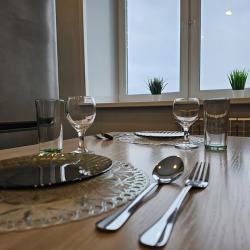 1-комнатные апартаменты стандарт с 2 диванами #3