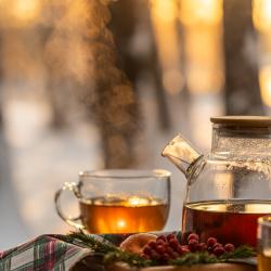 Дом у воды Ежевика и Черника (36 кв.м)