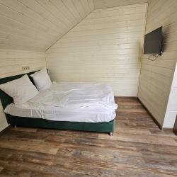 Фото Отель Ижица