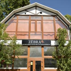 Фото Отель Zёbrahouse (Зёбрахаус)