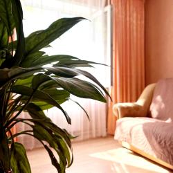 Фото Апартаменты на улице Южная 11