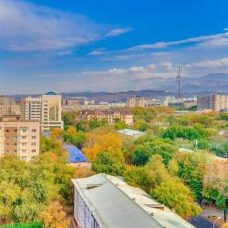 Фото Апартаменты на улице Ади Шарипова 145 корпус 3