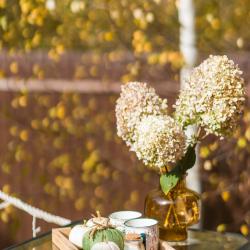 Коттедж стандарт Слизерин