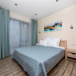 Апартаменты Люкс с 1 спальней