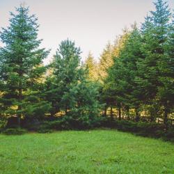 Фото Авиаотель