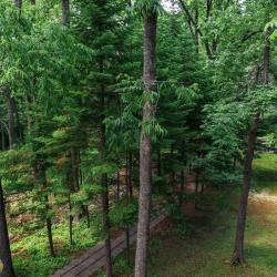 Фото Aurora Park Hotel (Аврора Парк Отель)