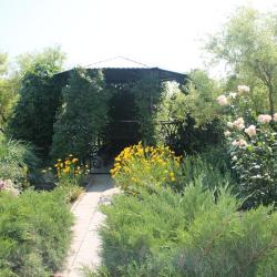 Фото Отель Роза Ветров