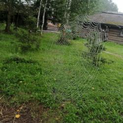 Фото Отель Гостевой дом Окулова Заимка