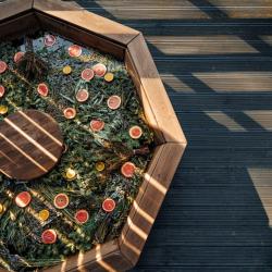 Forest Le Petit BBQ с купелью