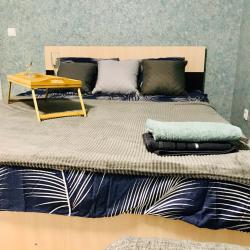 1-комнатные апартаменты стандарт Академика Павлова 43