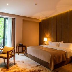 Фото Отель Aurora Resort, Tsaghkadzor (Аврора Резорт, )