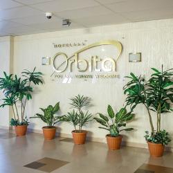 фото 4 Орбита (Orbita)