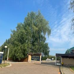 Фото Отель Лесной