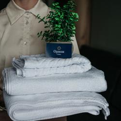 Фото Отель Орион