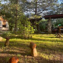 Фото Отель Плетёнка