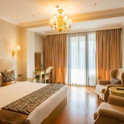 Фото Отель Panorama Lisi Grand Hotel (Панорама Лизи Гранд)