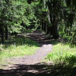 Фото Отель Санаторий Щелыково