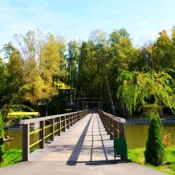 Фото Отель Регина в Петровском