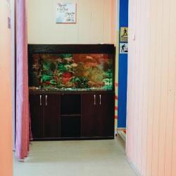 Фото Отель Норка