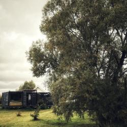 Фото Отель Лес и Луга