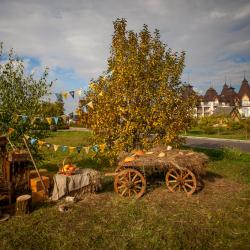 Фото Парк-отель Орловский