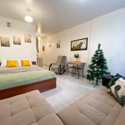 1-комнатные апартаменты студия