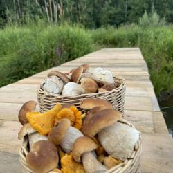 Фото Отель Дом рядом с городом со своим пляжем
