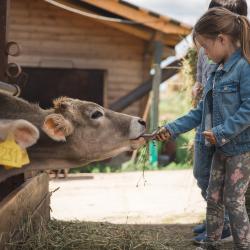Фото Отель Подворье Лукино