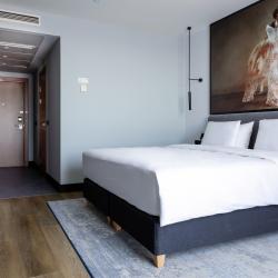 Radisson Blu Kaliningrad (Рэдиссон Блу Калининград) — 9338298cda5b92493cc2b95c9f02e258
