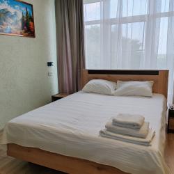 Номер стандарт с 1 двуспальной кроватью